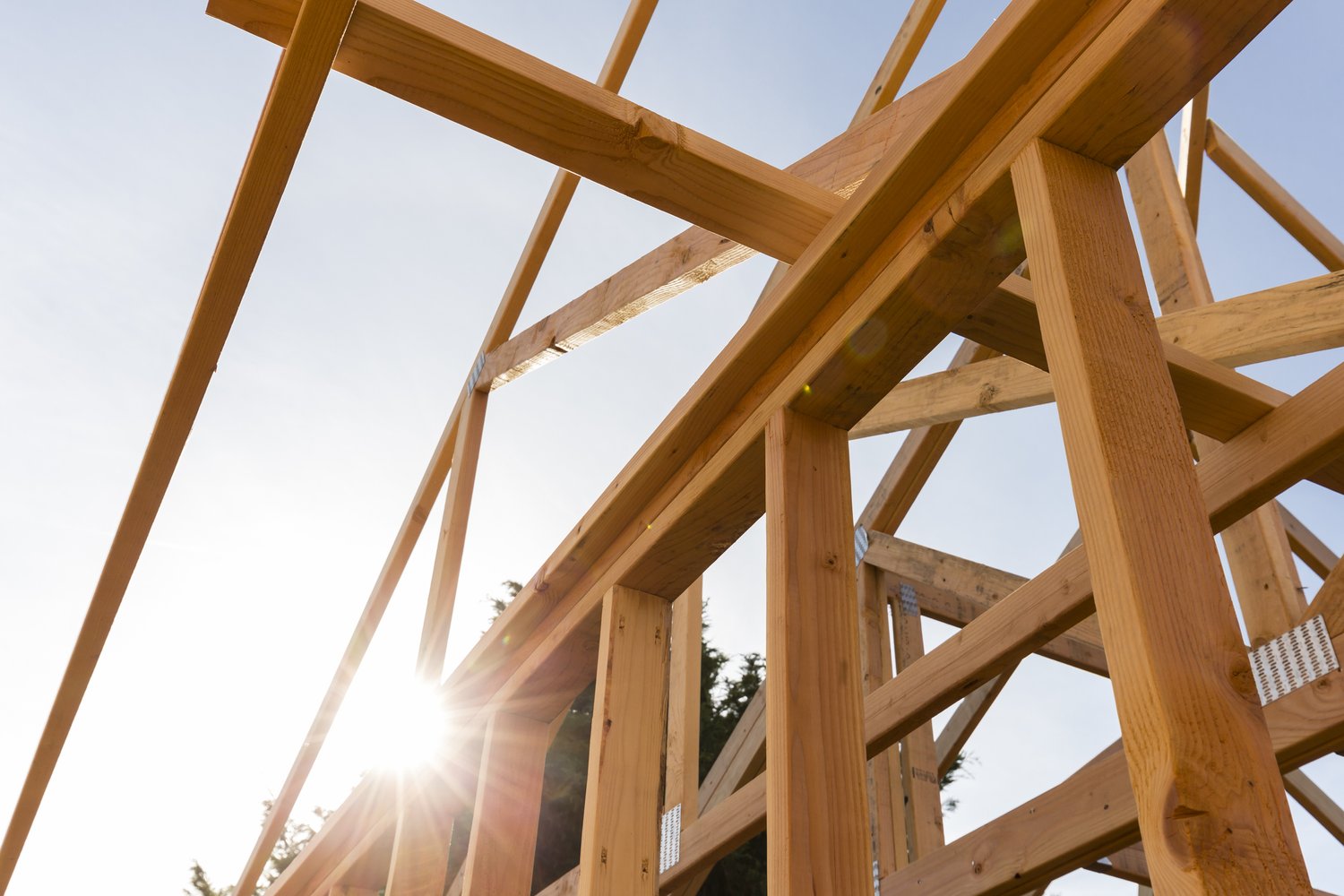 Arnold Venti Builders Inc