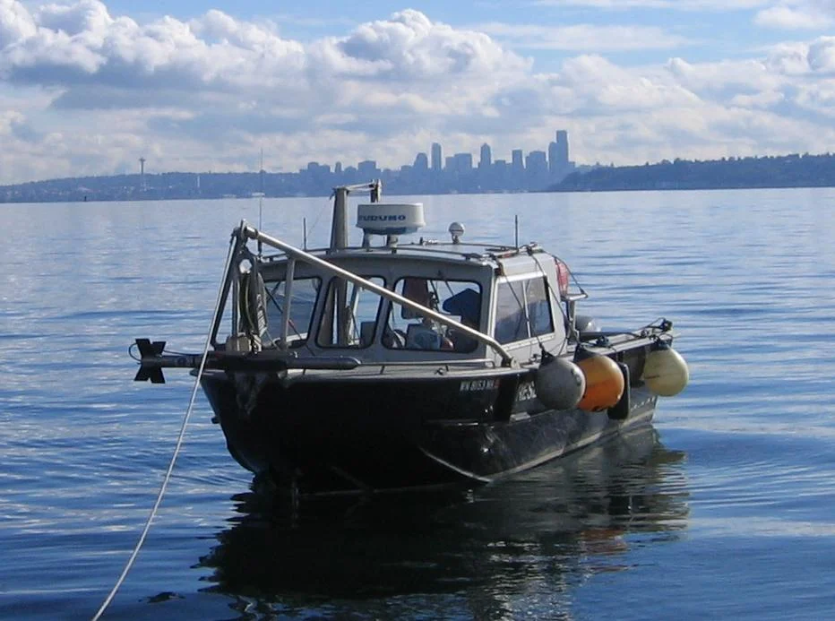 eagle seattle1.jpg