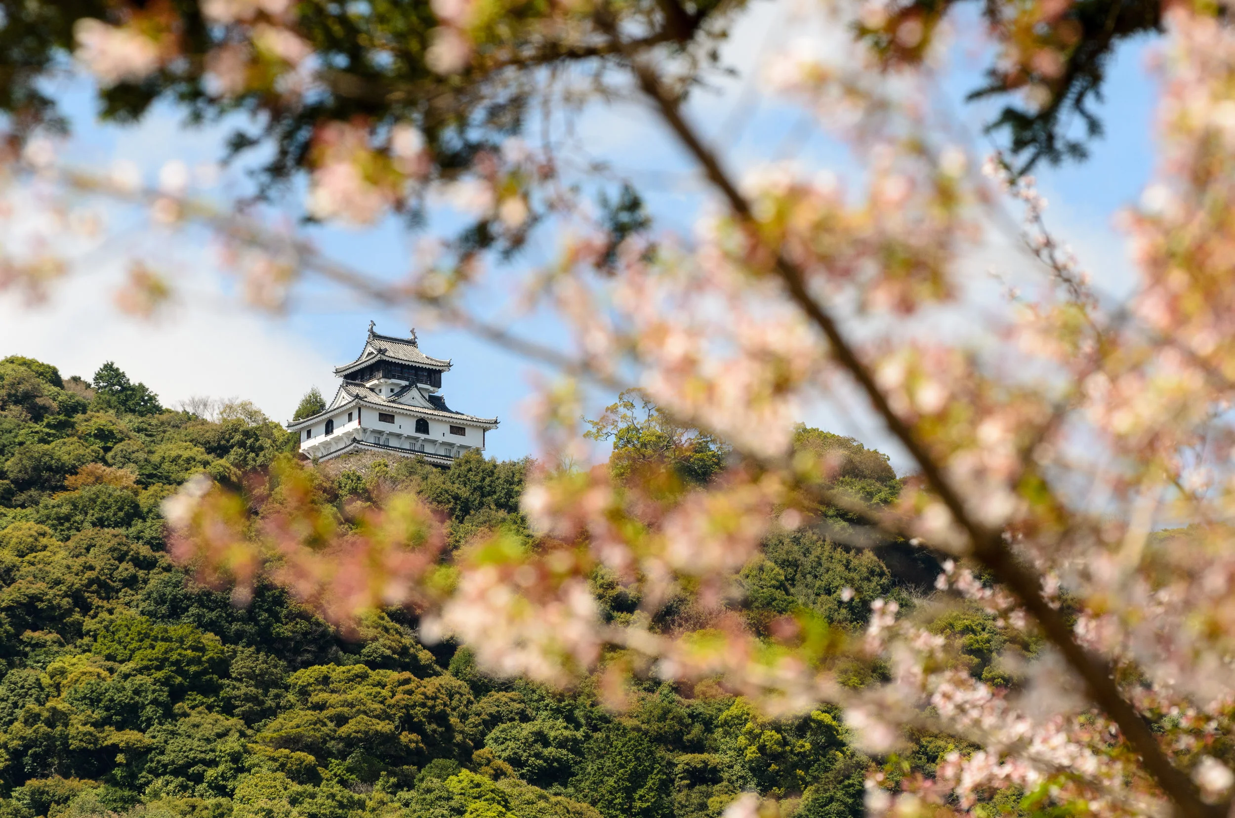 Iwakuni Castle
