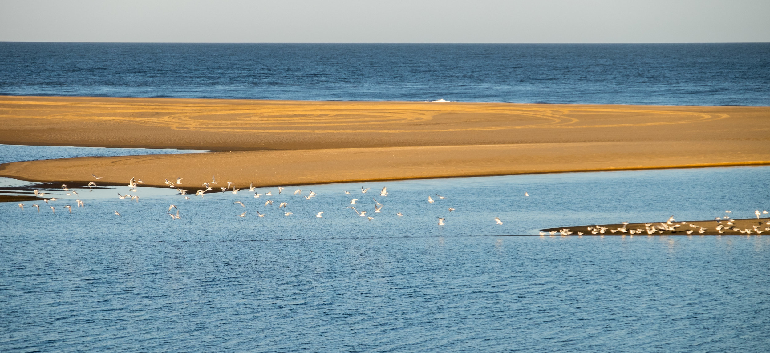 The Takeoff
