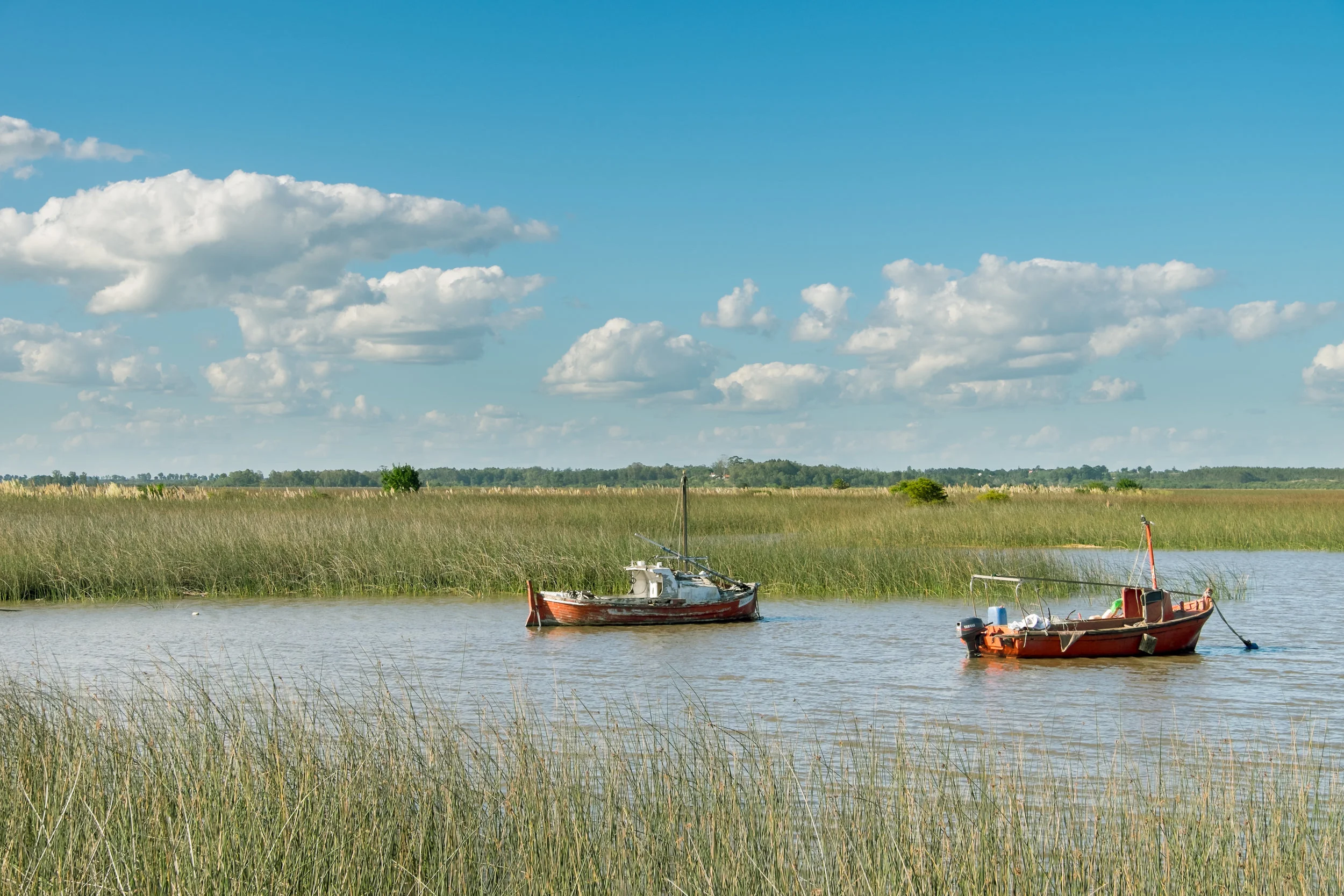 Santa Lucia Wetlands