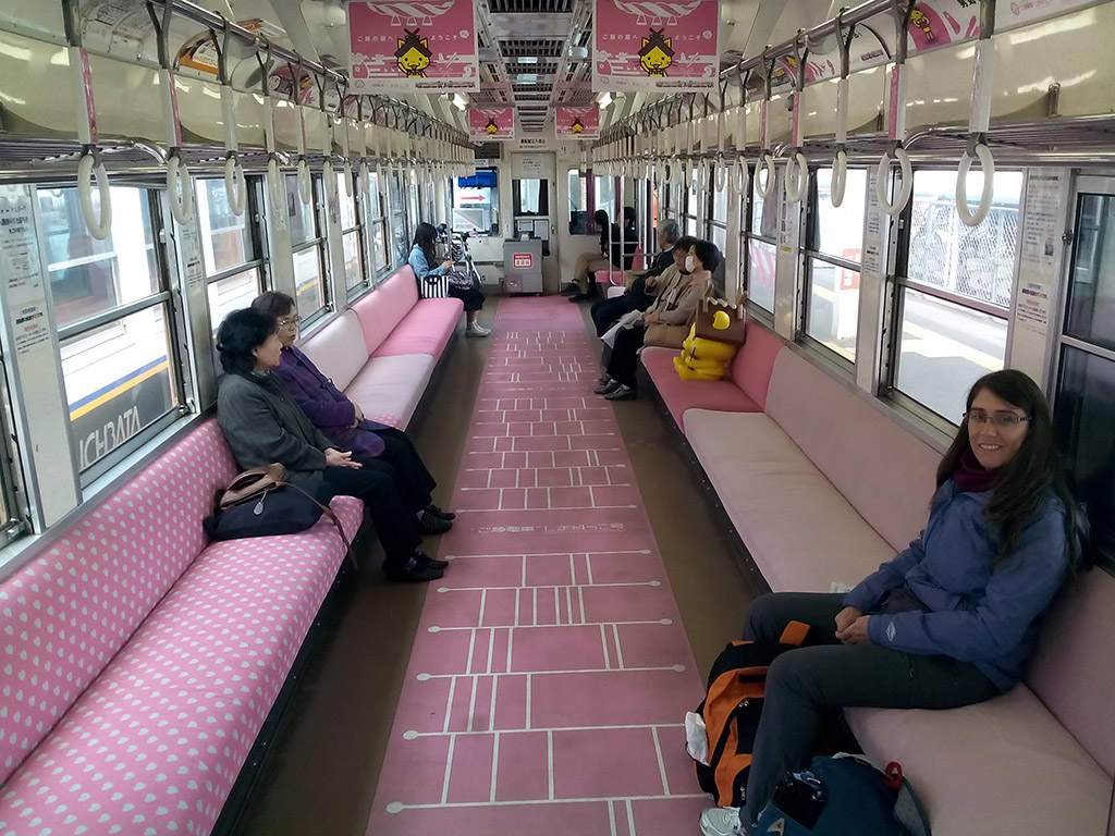 Tren rosadito chuchi