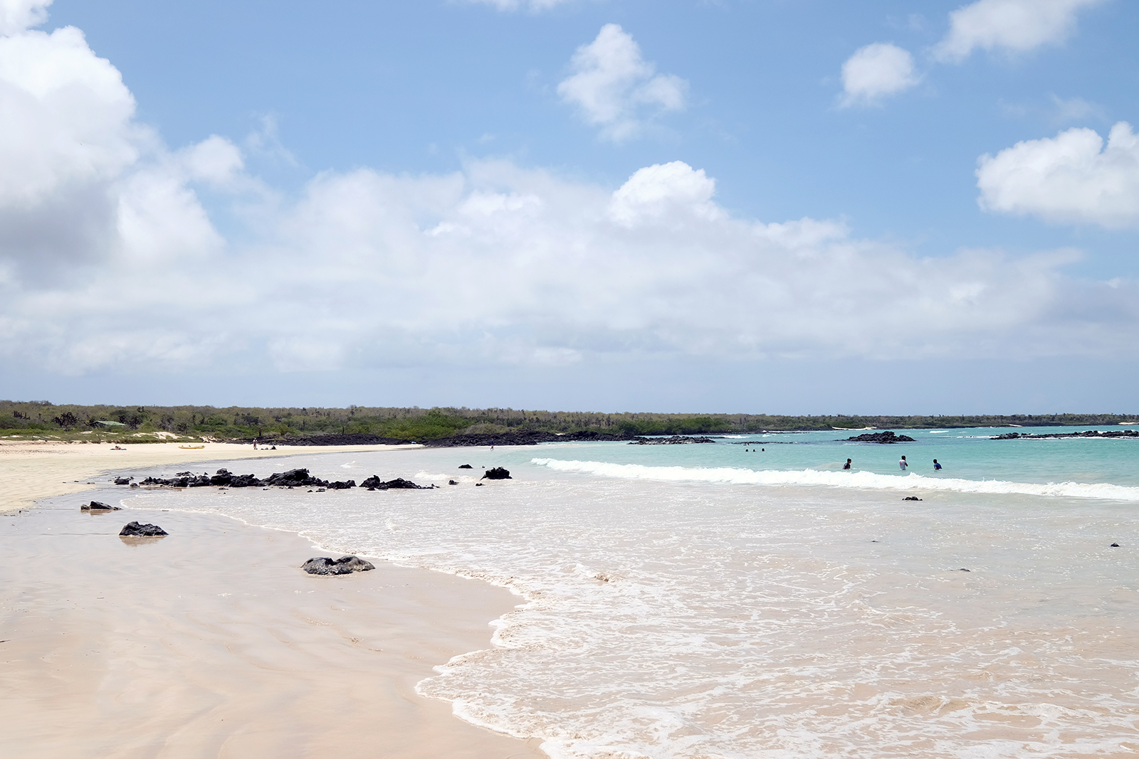 Playa Garrapatero