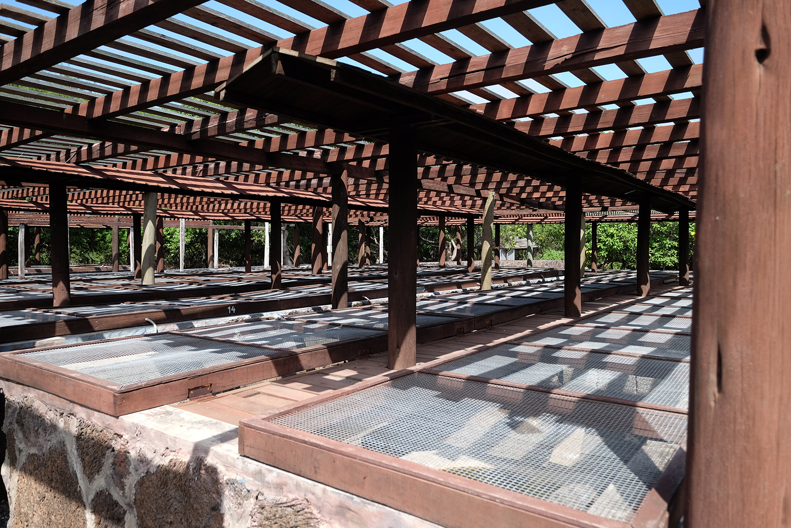Centro de Crianza de Tortugas - Isla Isabela