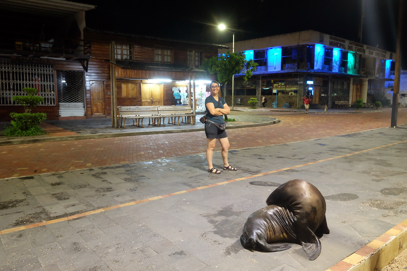 Puerto Barquerizo Moreno por la noche