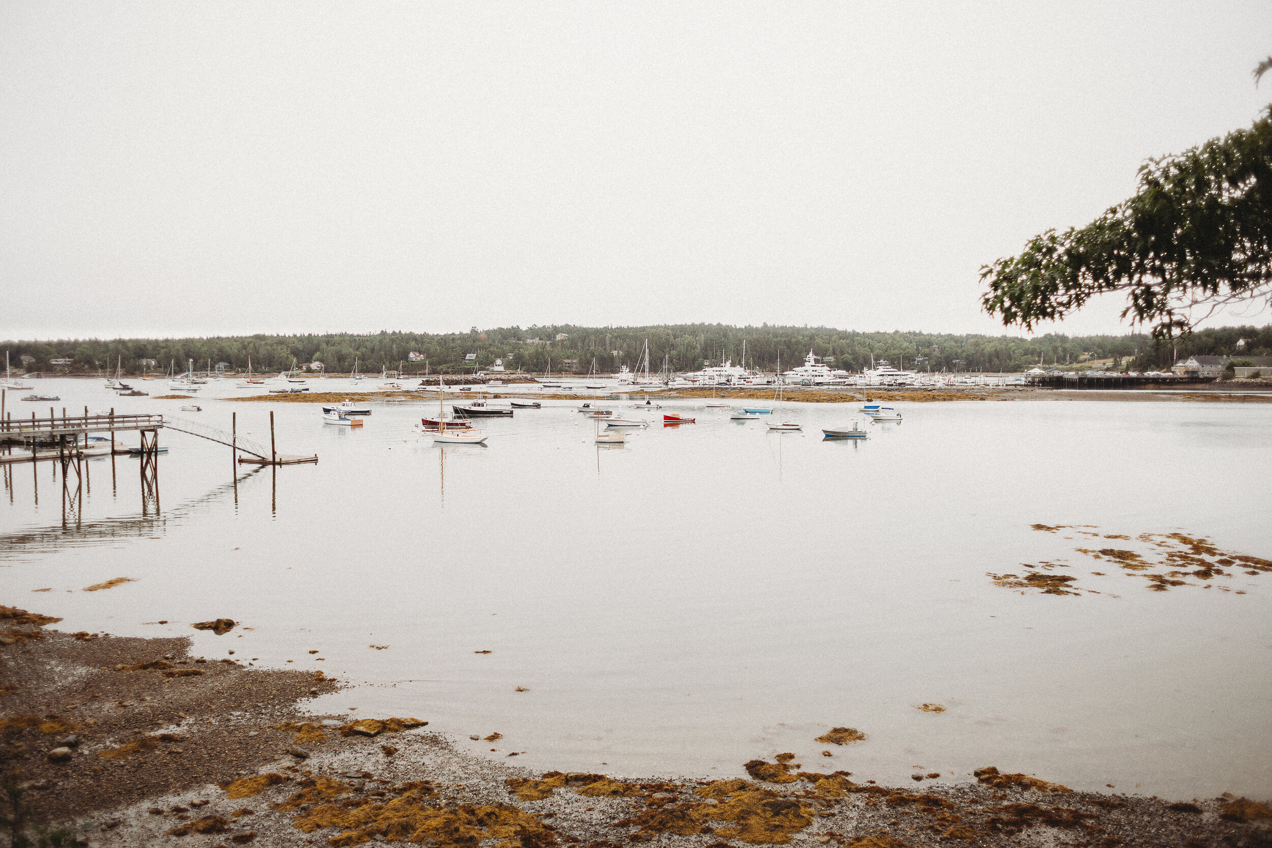 Southwest Harbor, ME at low tide