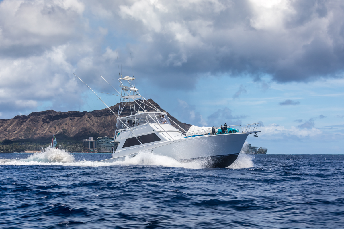 DX9A1050-Edit.jpg
