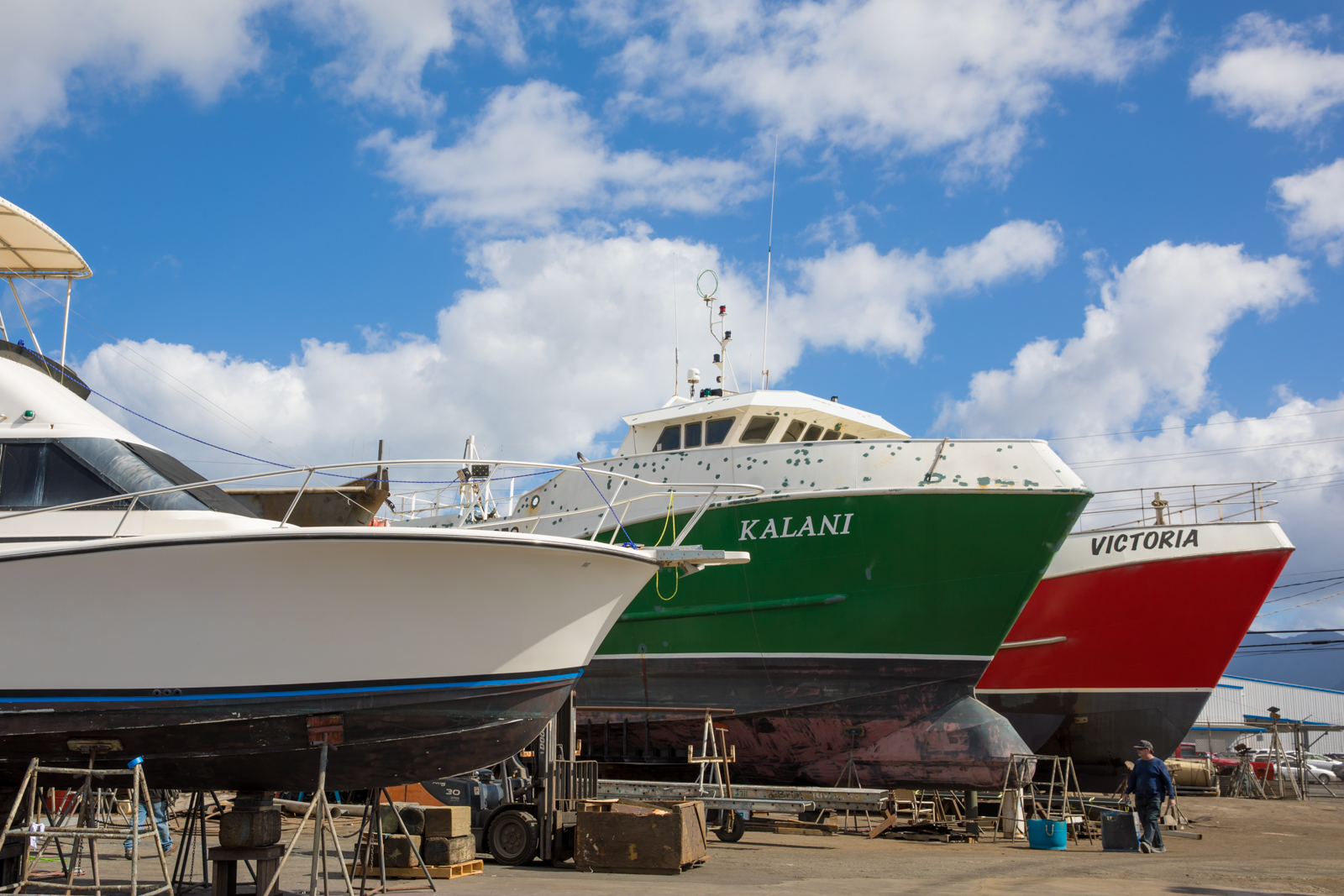 DX9A3755.jpg