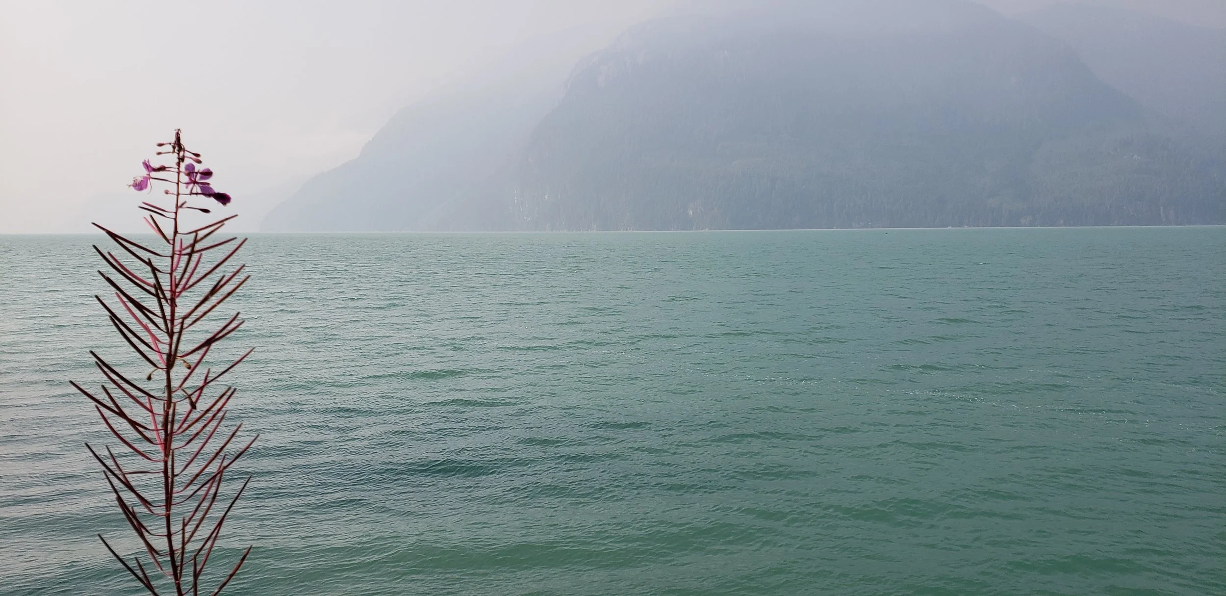 Artist Talk: Marianne Nicolson