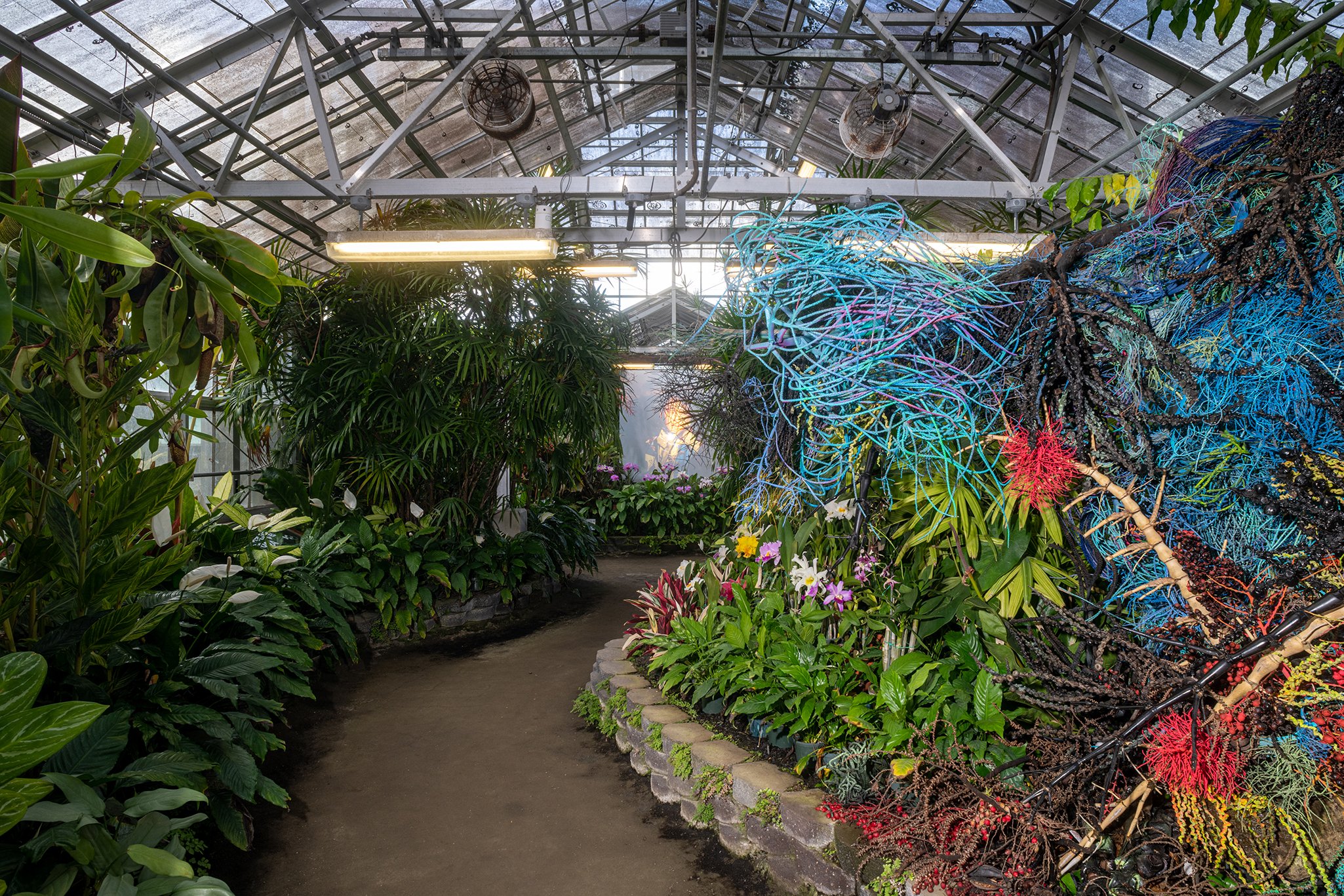   TOQA ,  Midnight Smoothie , 2021–22, Foster Botanical Garden, HT22. Courtesy of the artists and Hawai’i Contemporary. Photo: Christopher Rohrer. 