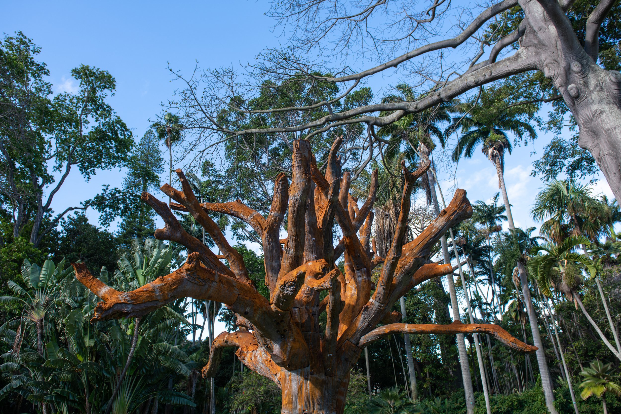  Installation view:  Ai Weiwei,   Iron Tree  (detail), 2020, Foster Botanical Garden, HT22, Honolulu. © Ai Weiwei Studio. Courtesy of the artist and Hawai‘i Contemporary. Photo: Christopher Rohrer.  
