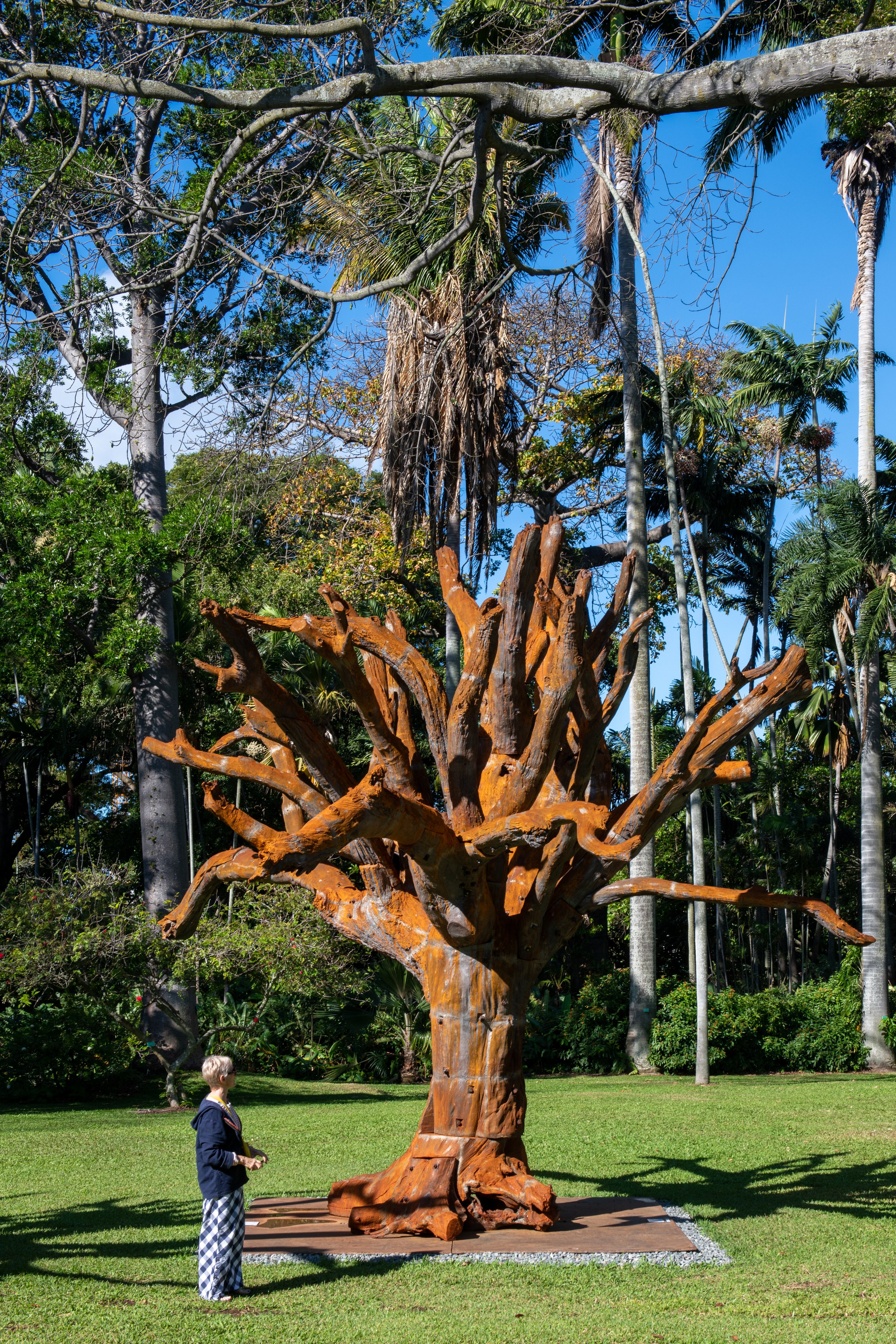  Installation view:  Ai Weiwei,   Iron Tree,  2020, Foster Botanical Garden, HT22, Honolulu. © Ai Weiwei Studio. Courtesy of the artist and Hawai‘i Contemporary. Photo: Christopher Rohrer.  
