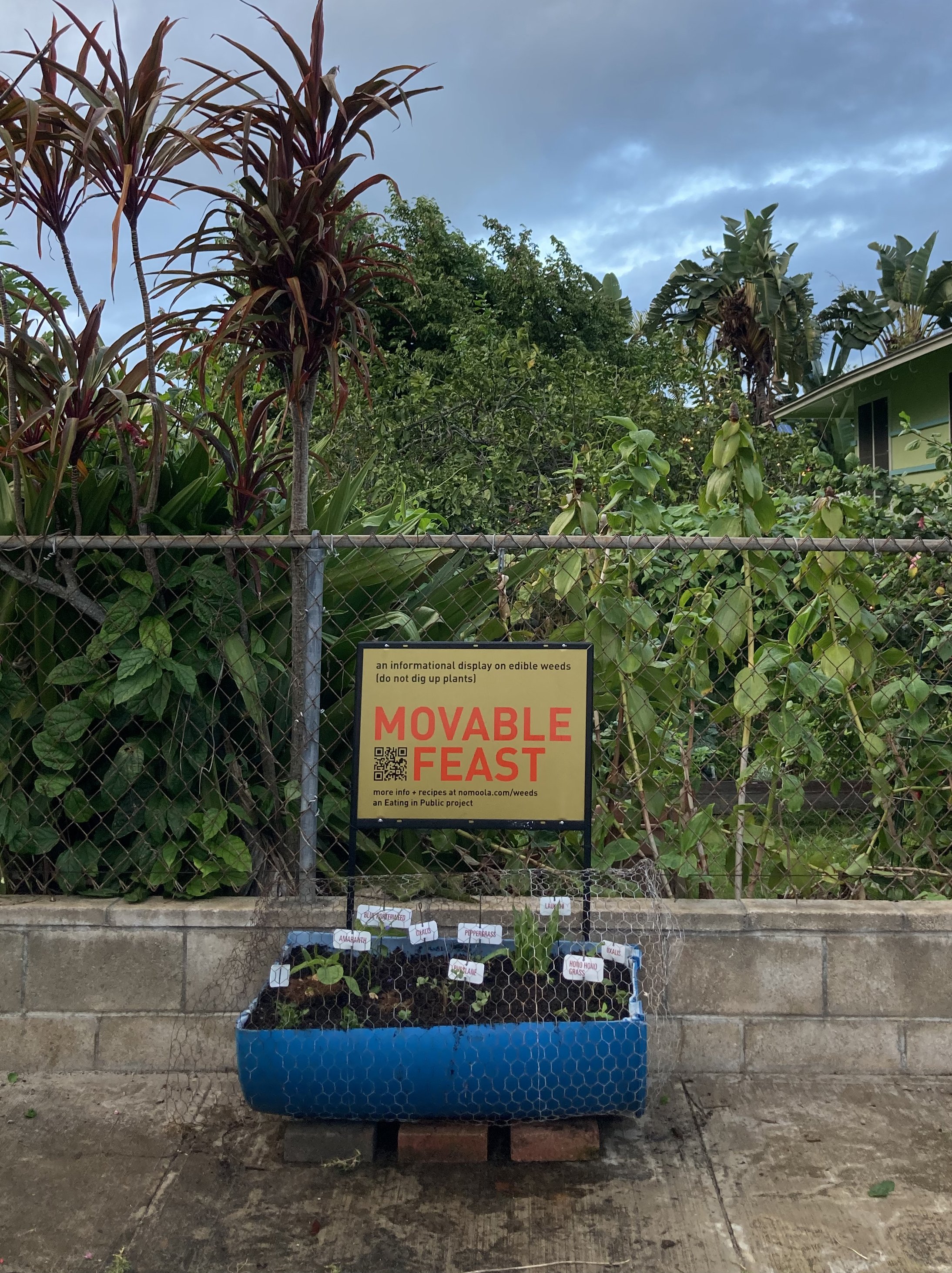 EATING-IN-PUBLIC-Coconut-Grove_crop.jpg