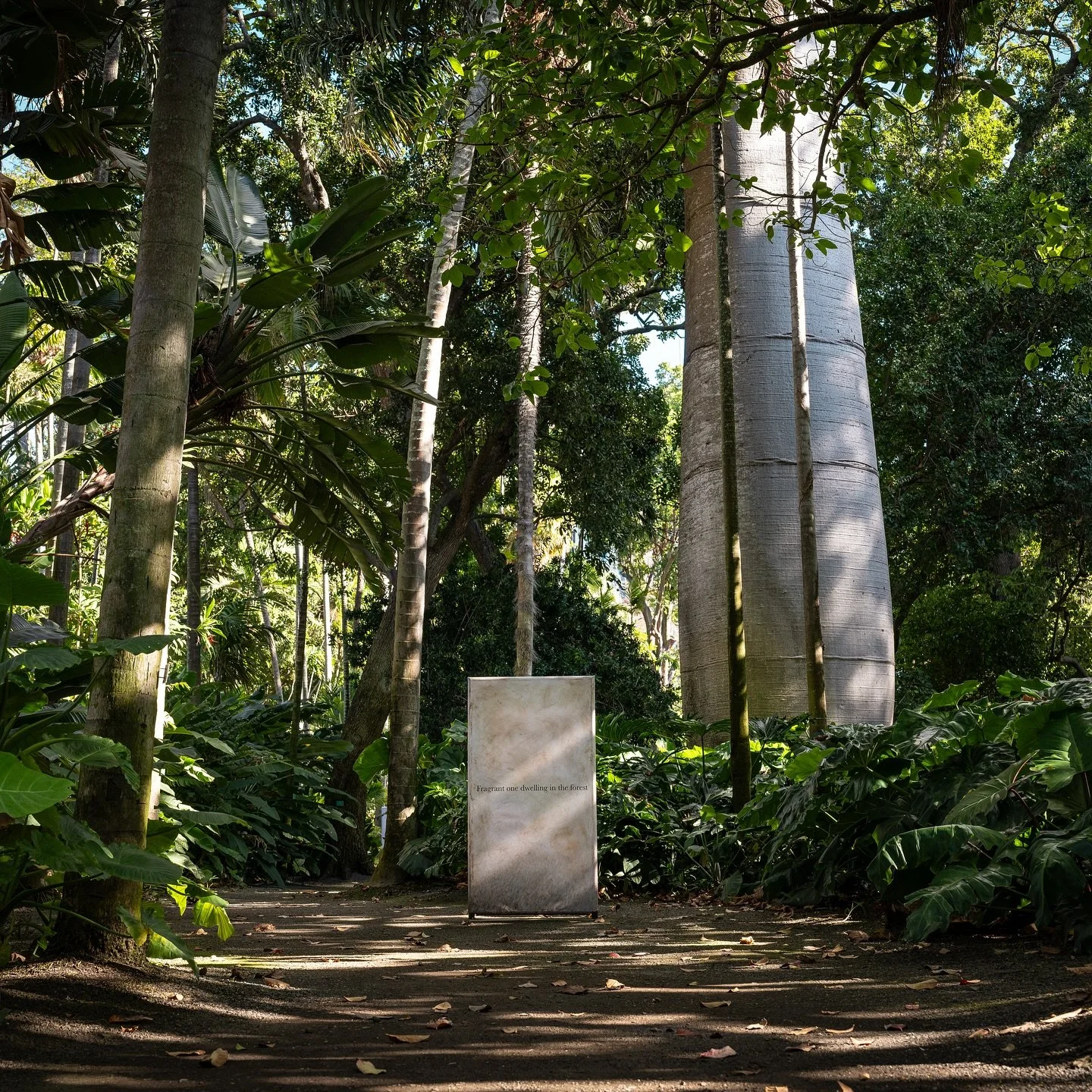 Golden hour, no crowds, just you, the artists, and the art. 🌿✨

⏳HAPPENING TOMORROW (Wednesday, April 30)&mdash;Don&rsquo;t miss this rare, after-hours, docent-led tour of #HawaiiTriennial2025 at Foster Botanical Garden (@honolulubotanicalgardens)&m