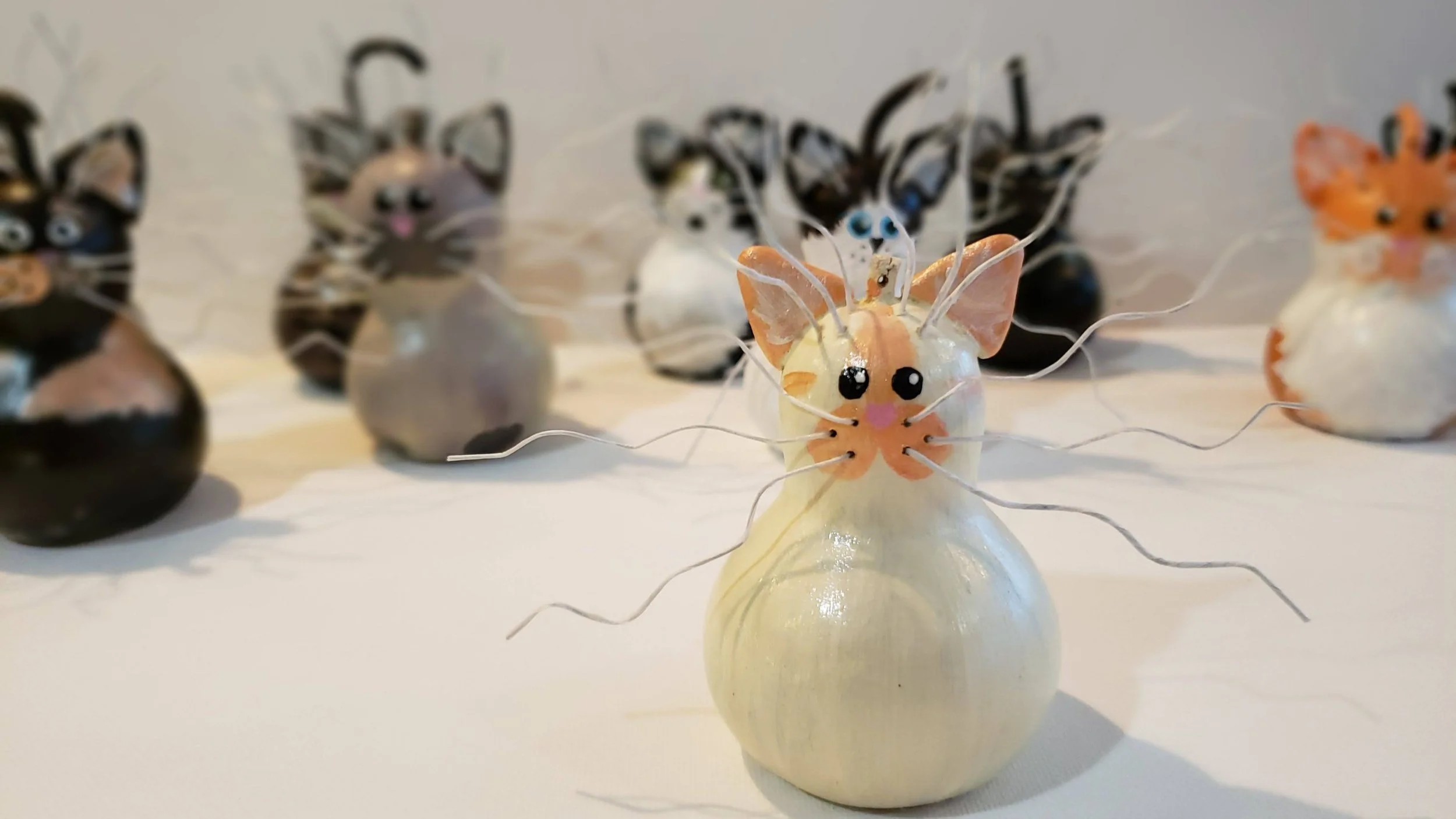 Image of various gourd cats