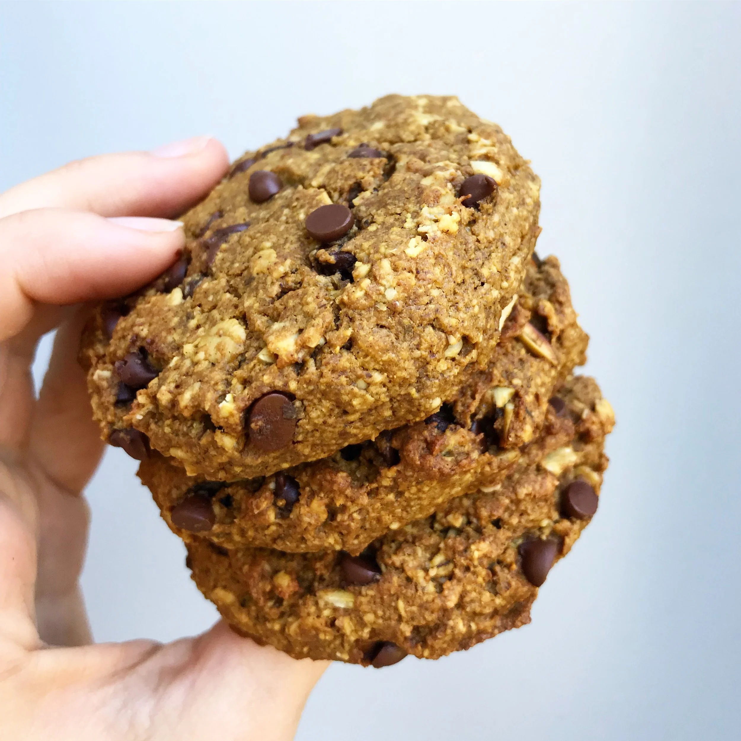 Pumpkin Oatmeal Chocolate Chip Breakfast Cookies