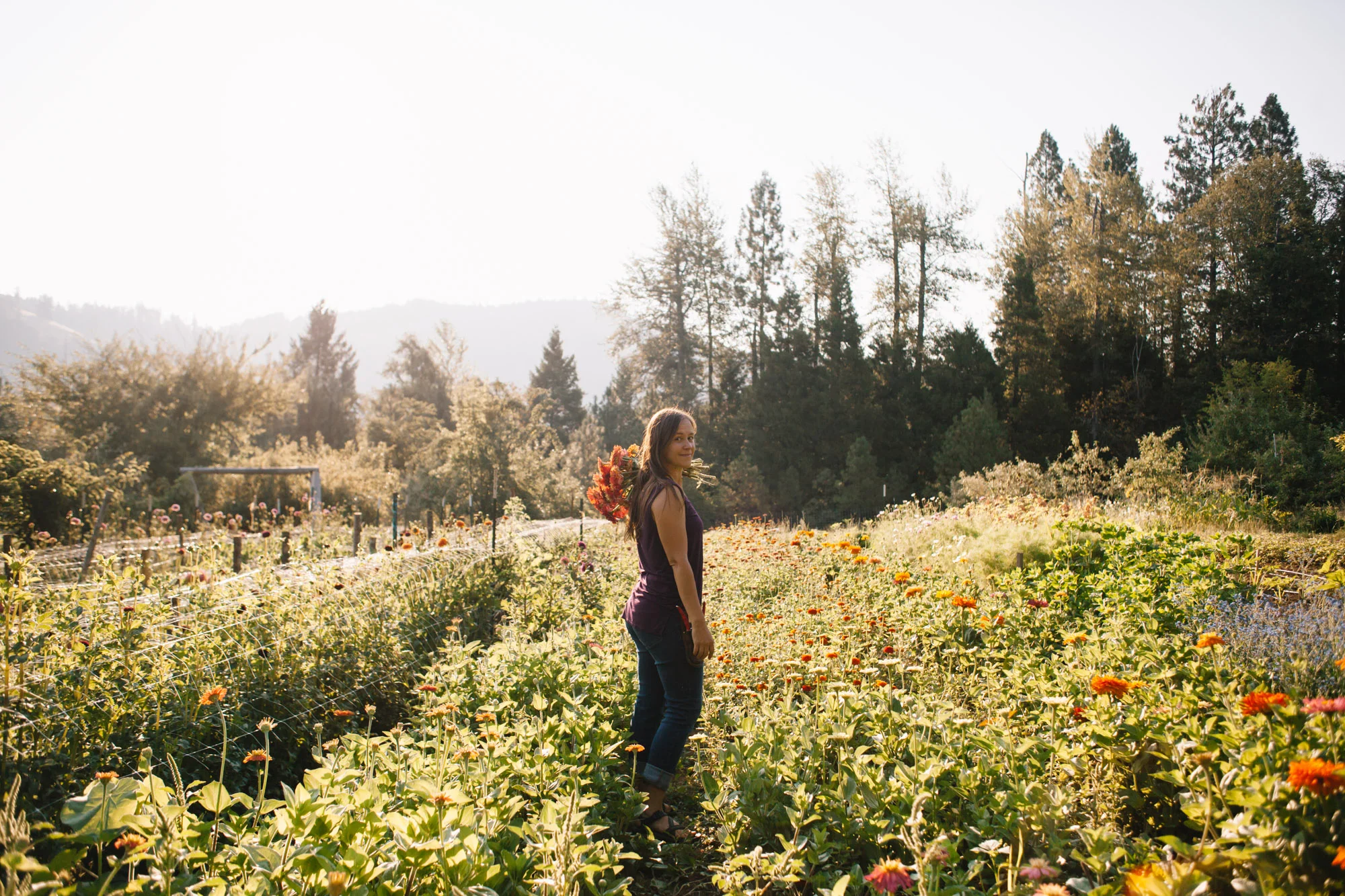 southern-oregon-flower-farms-233.jpg