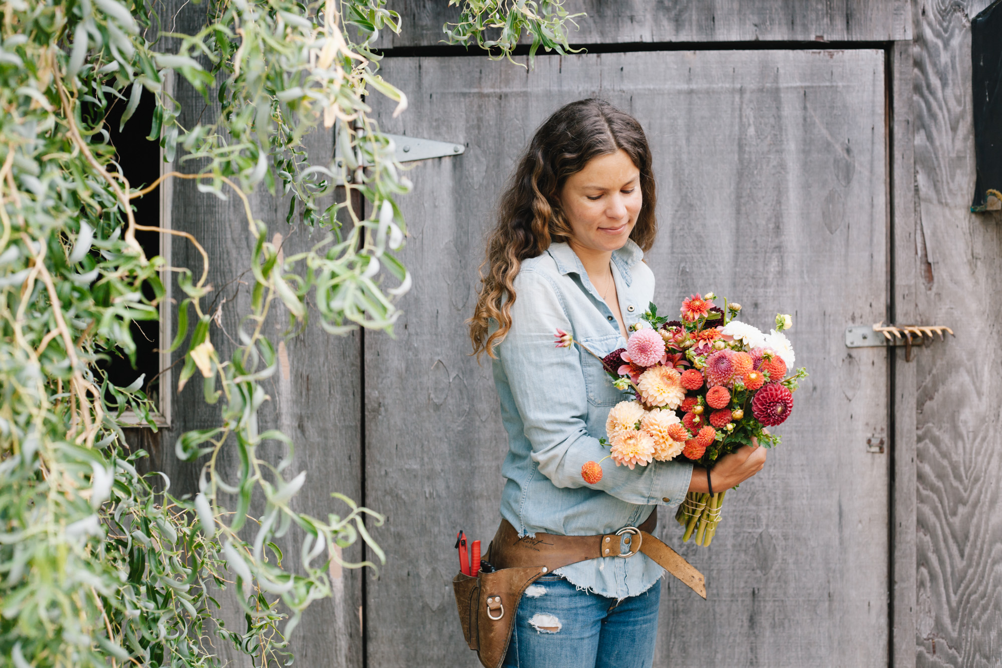  Lucy Whitridge of Petal and Seed Flowers demonstrates an early season harvest of dahlias. 