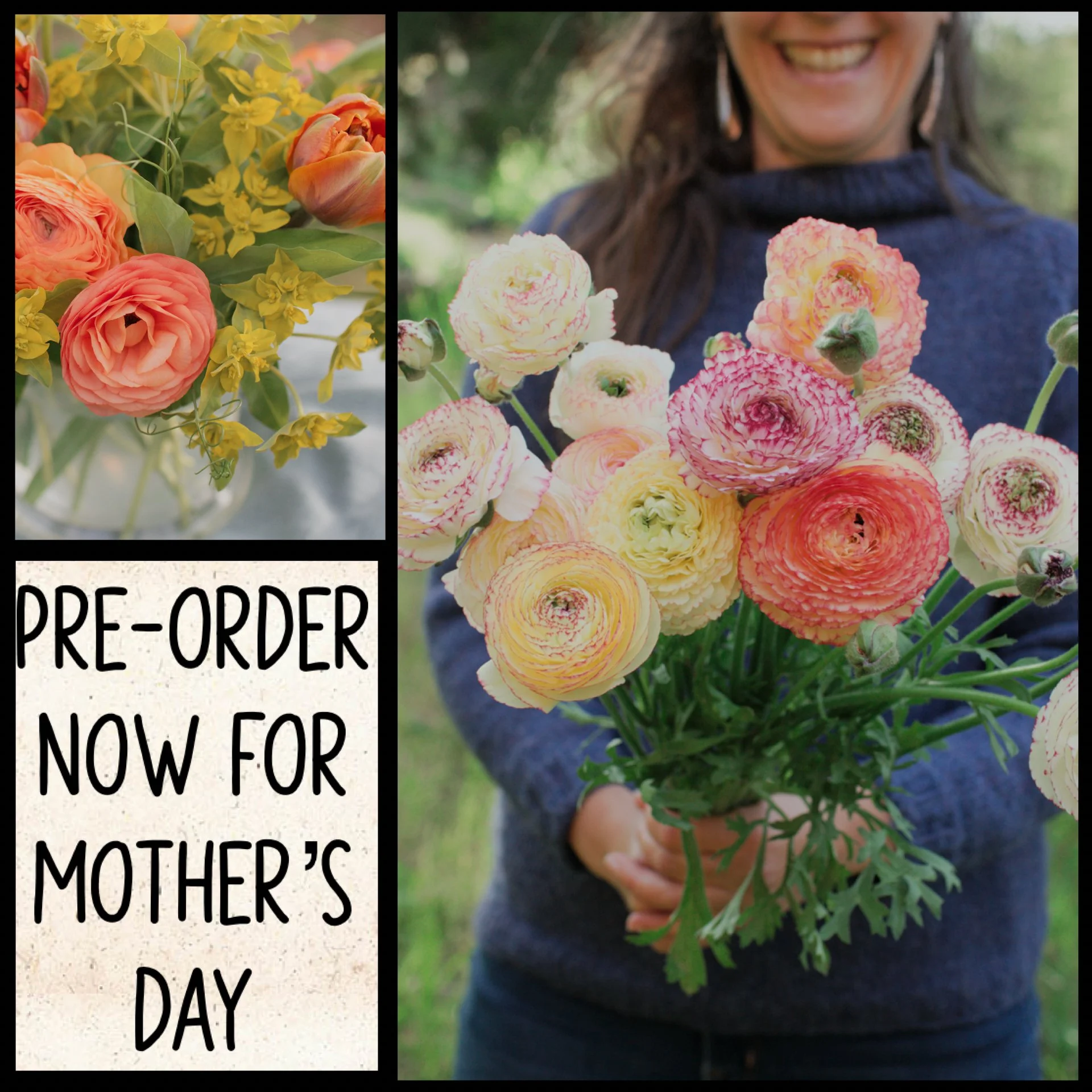 Mixed Bouquets (Local Pick-Up/Delivery or Overnight Shipped)