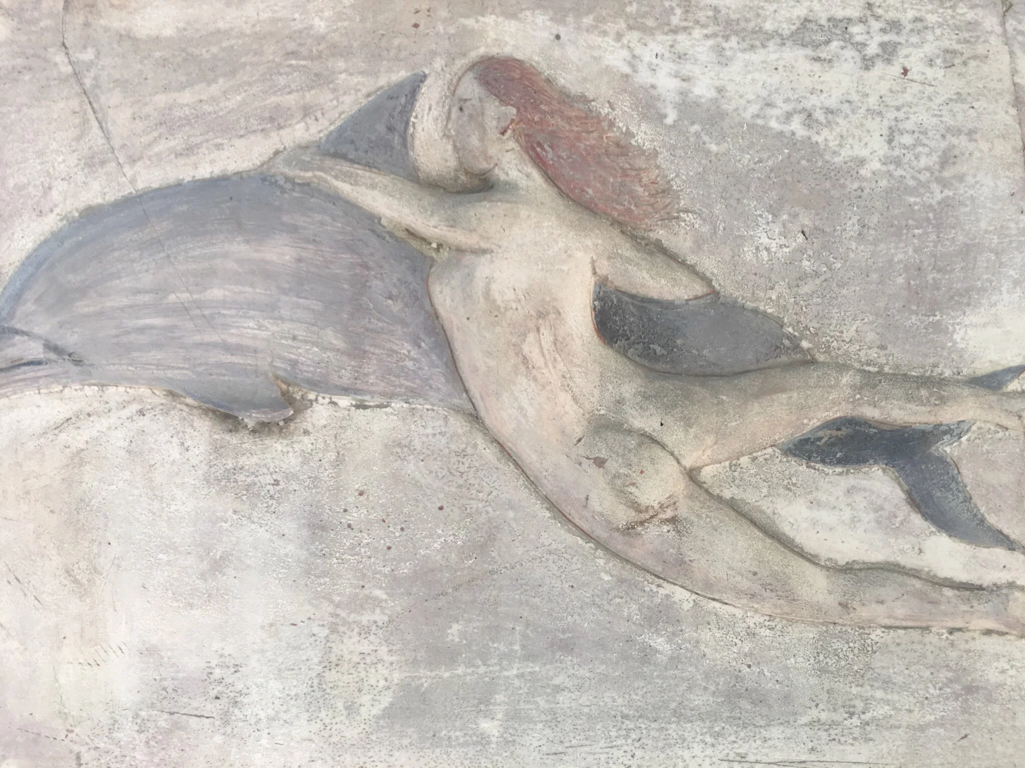 dolphin.jpg