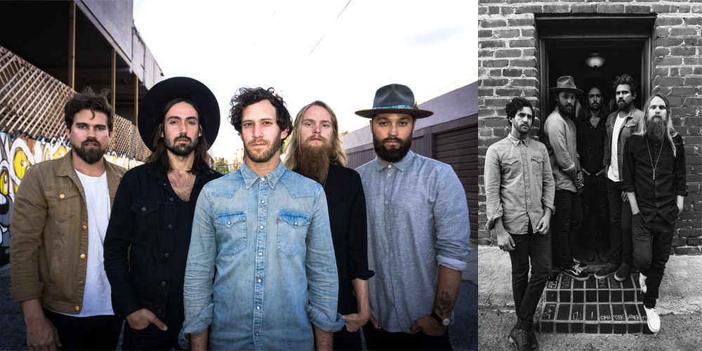Grizfolk for website.jpg