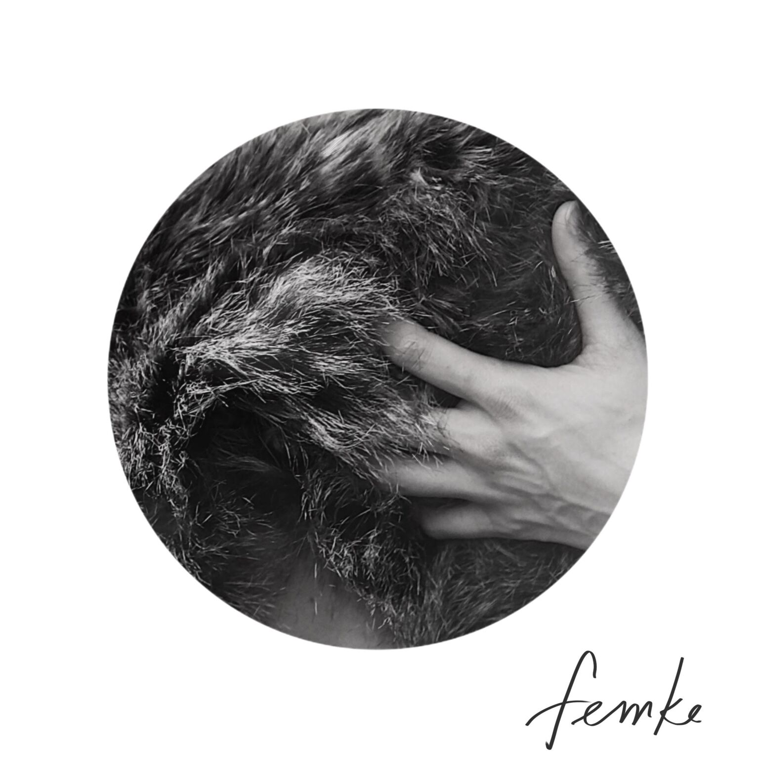 4 Letter Words - Album Art_preview.jpeg