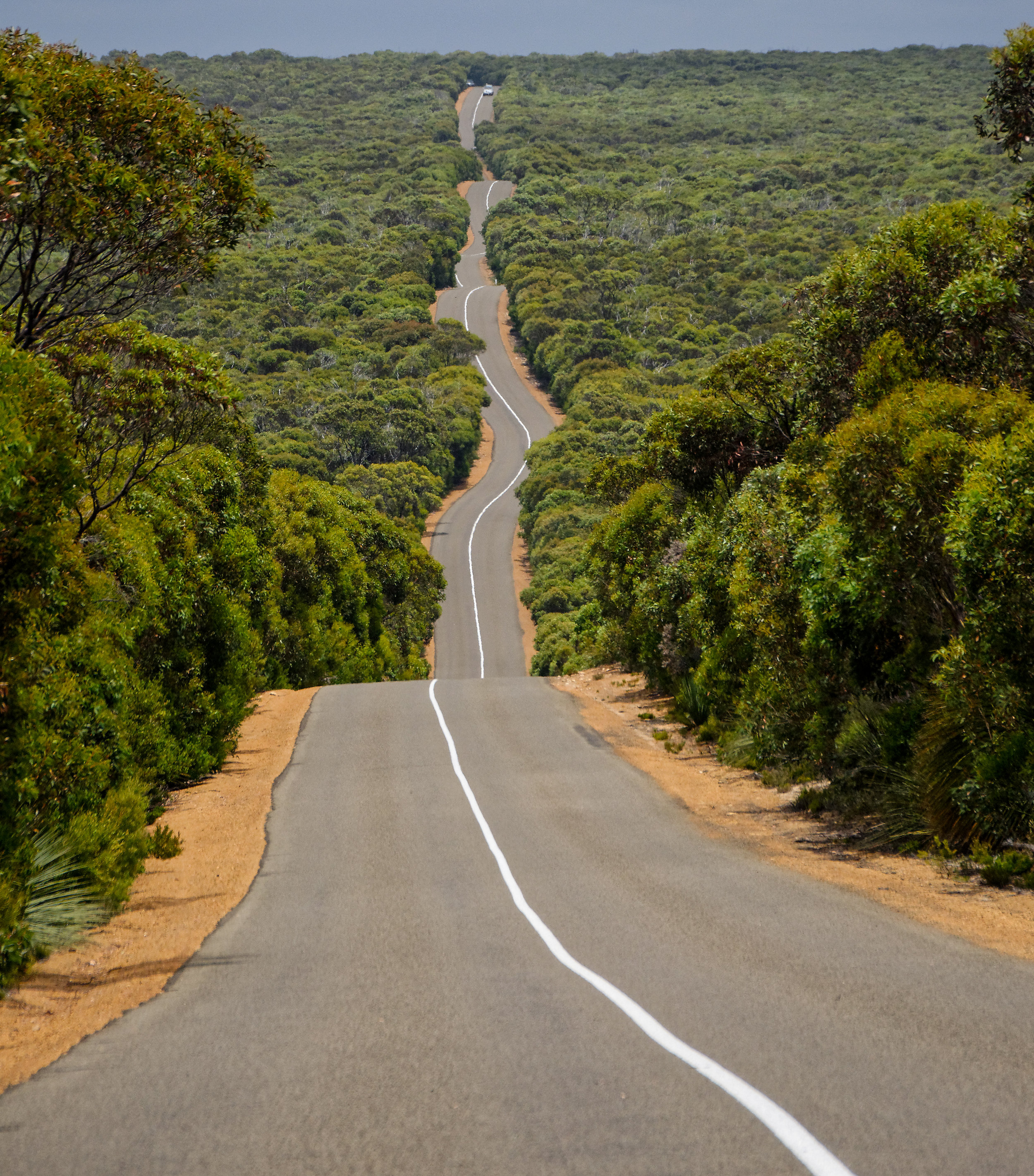 2020-21 Federal Budget - The Road To Recovery?