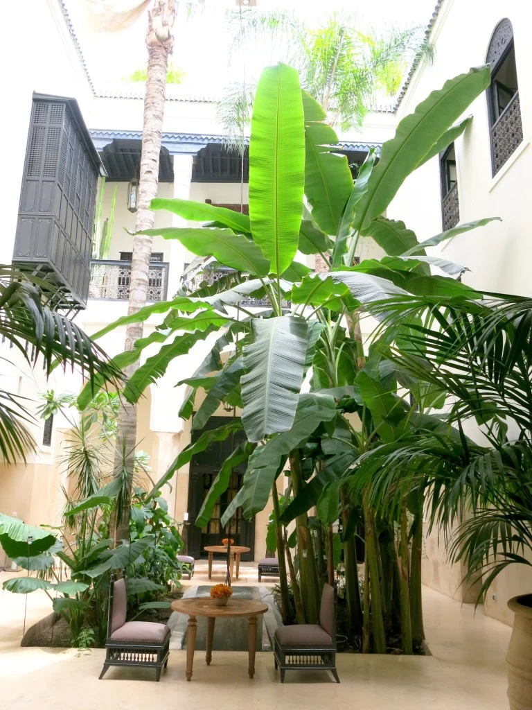 El Finn Hotel, Marrakech, Morocco