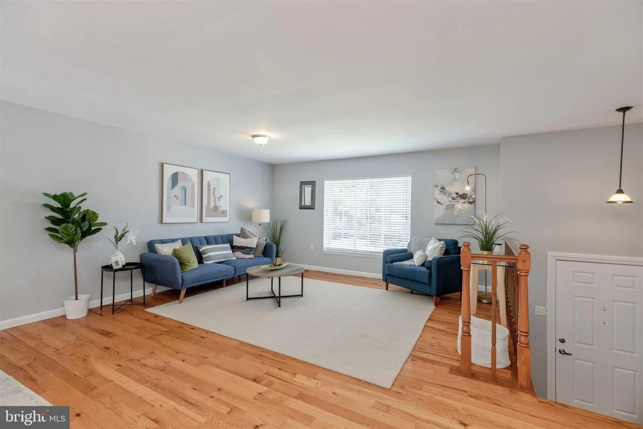 beech tree staging 2.jpeg