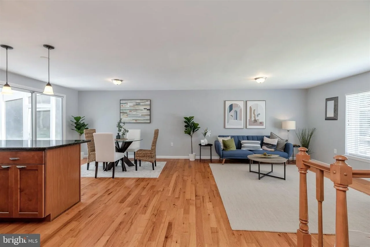 beech tree staging 1.jpeg