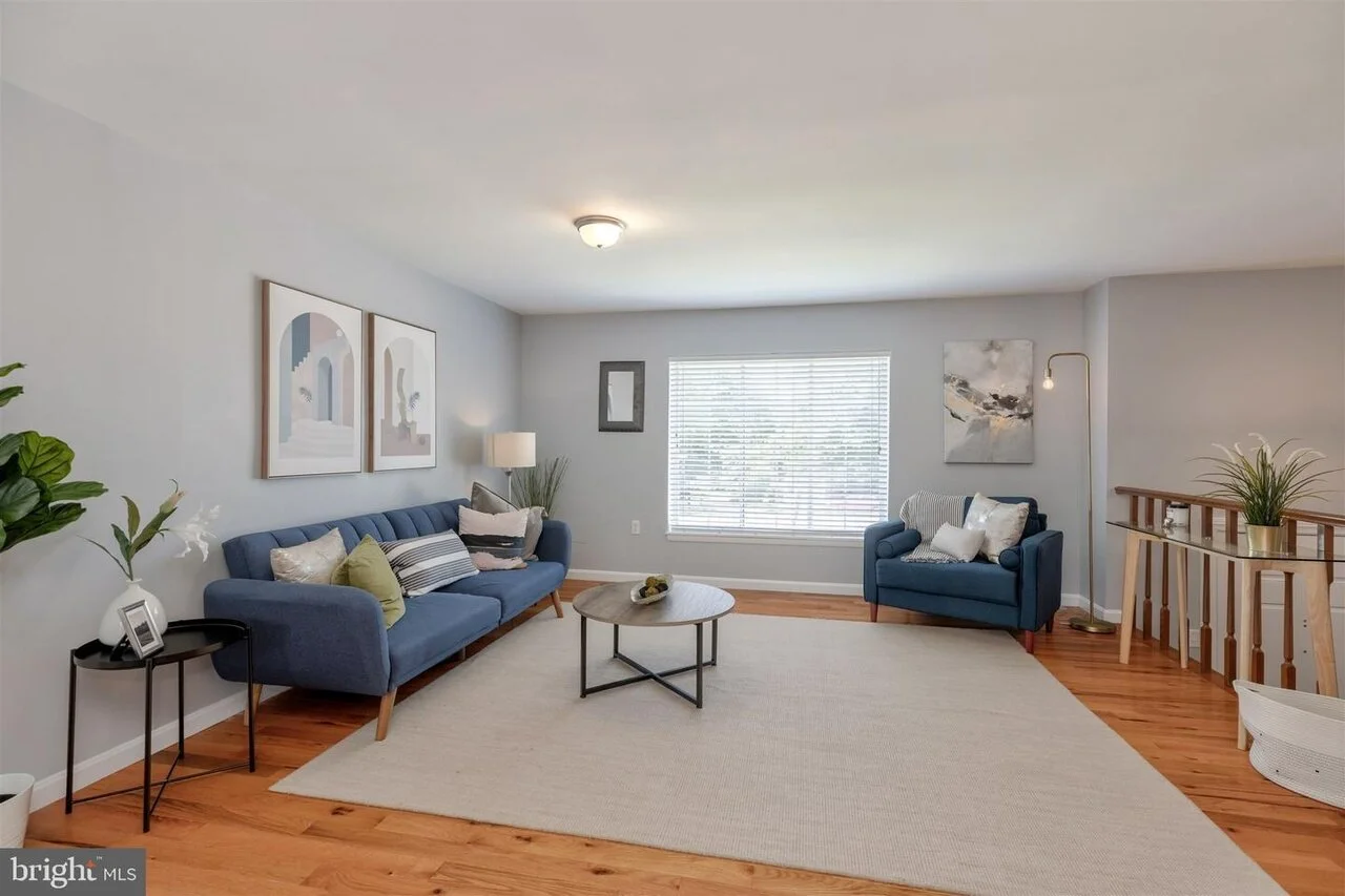 beech tree staging 3.jpeg