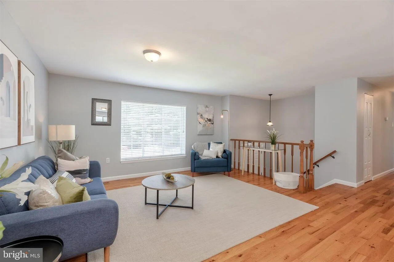 beech tree staging 4.jpeg