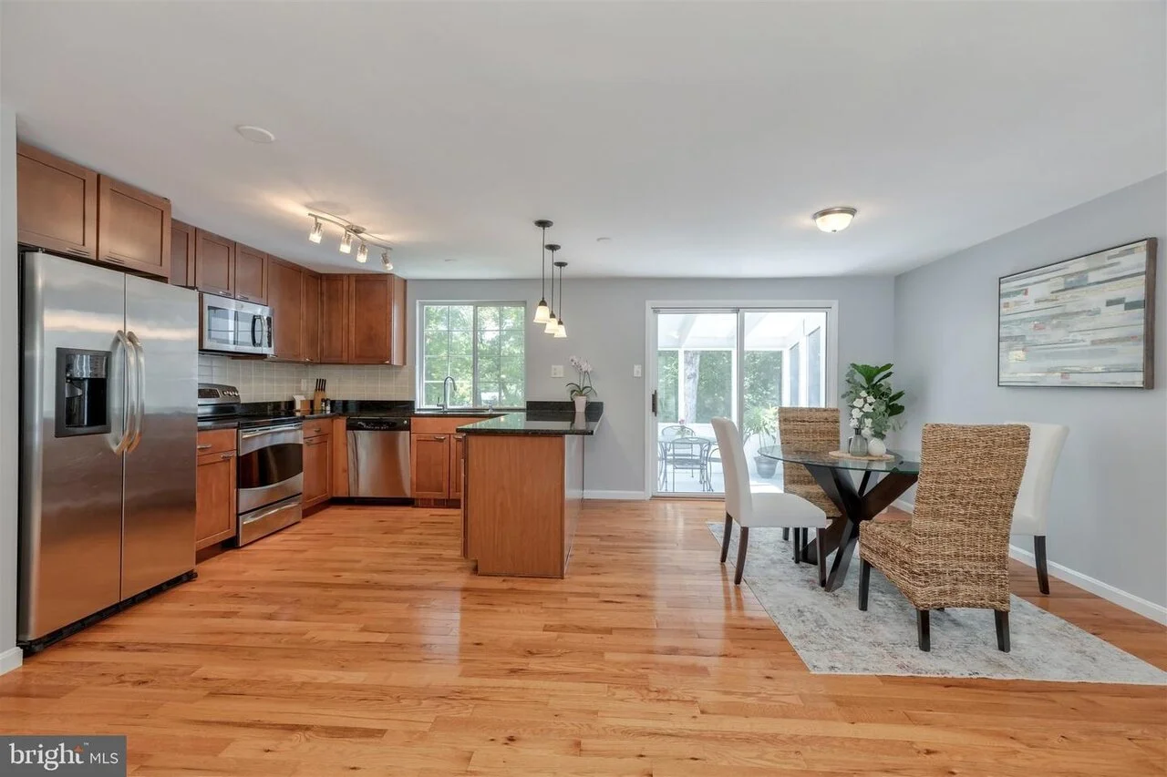 beech tree staging 5.jpeg