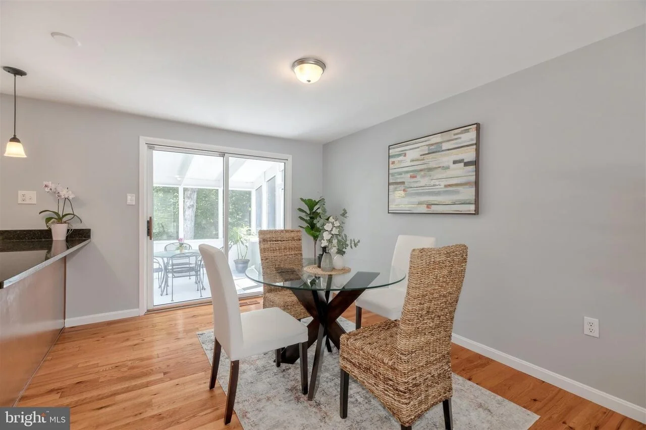 beech tree staging 6.jpeg