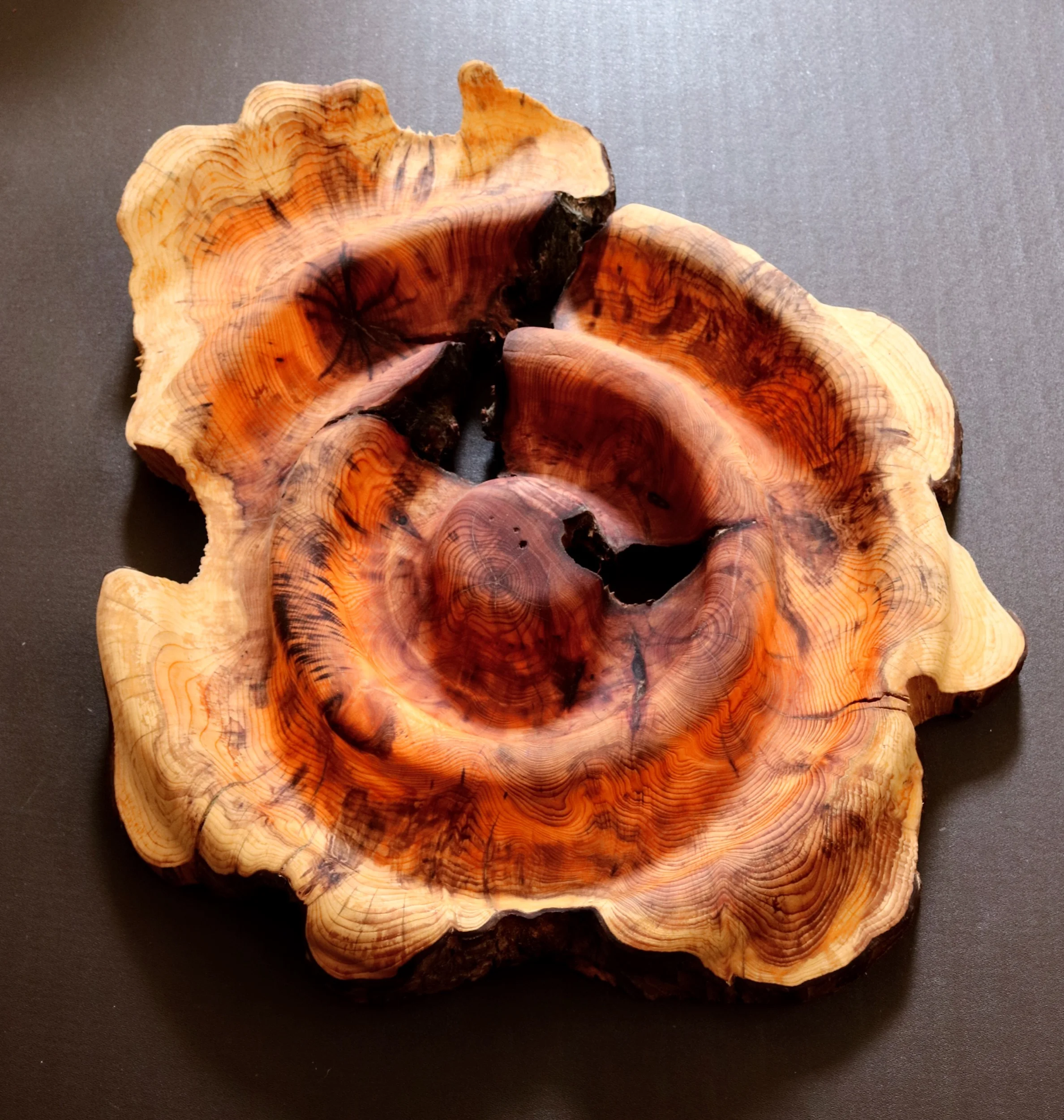 Simplicity in Motion #4