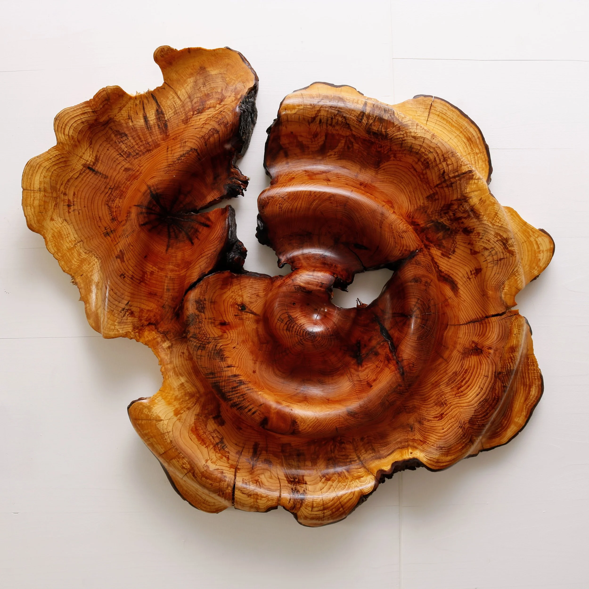 Simplicity in Motion 4.JPG