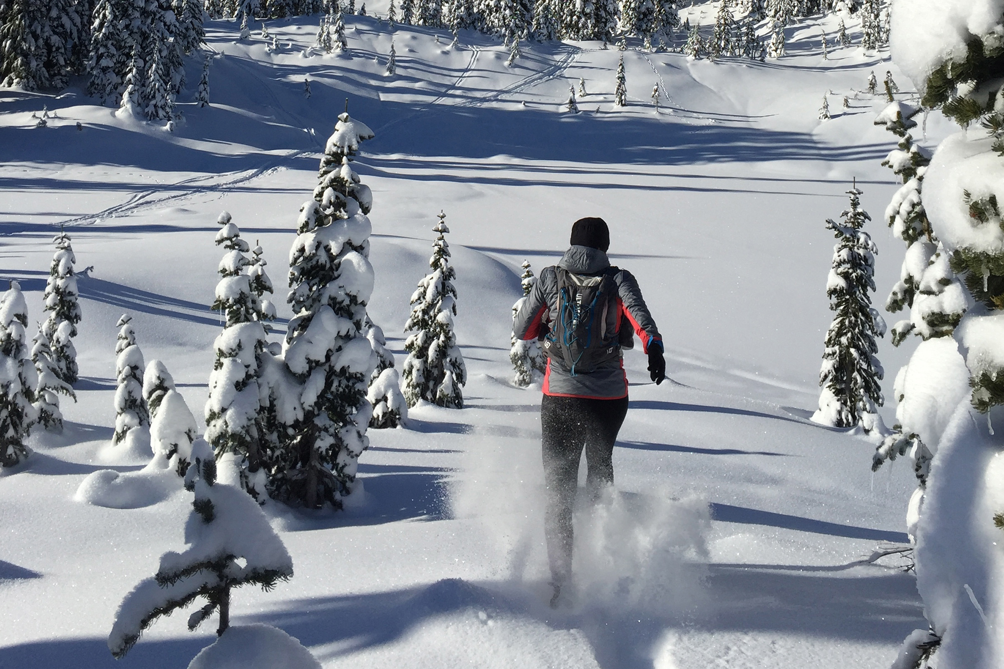Snowshoe.jpg
