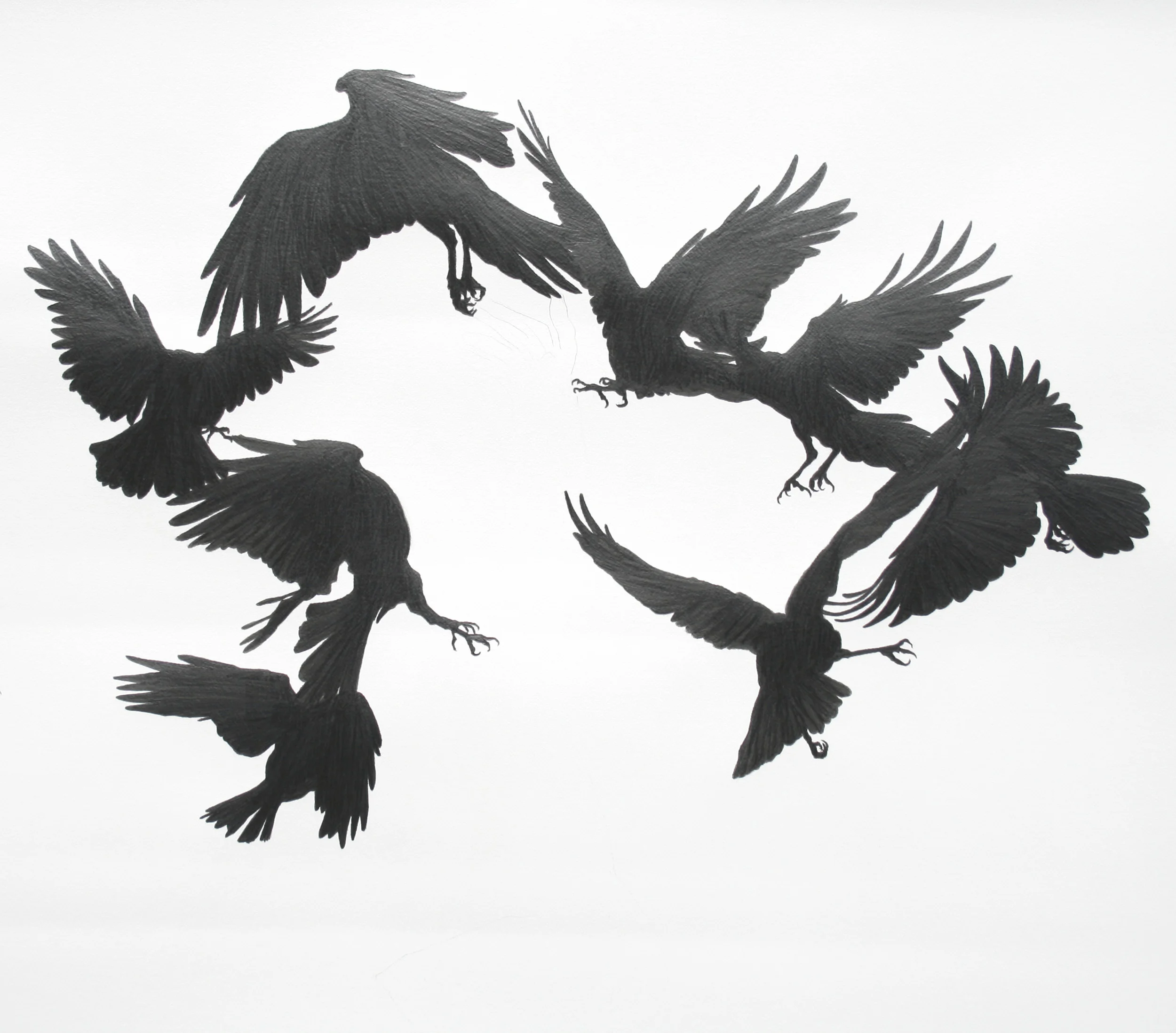 crow-surround-graphite-on-paper-2010-95x90cm1.jpg