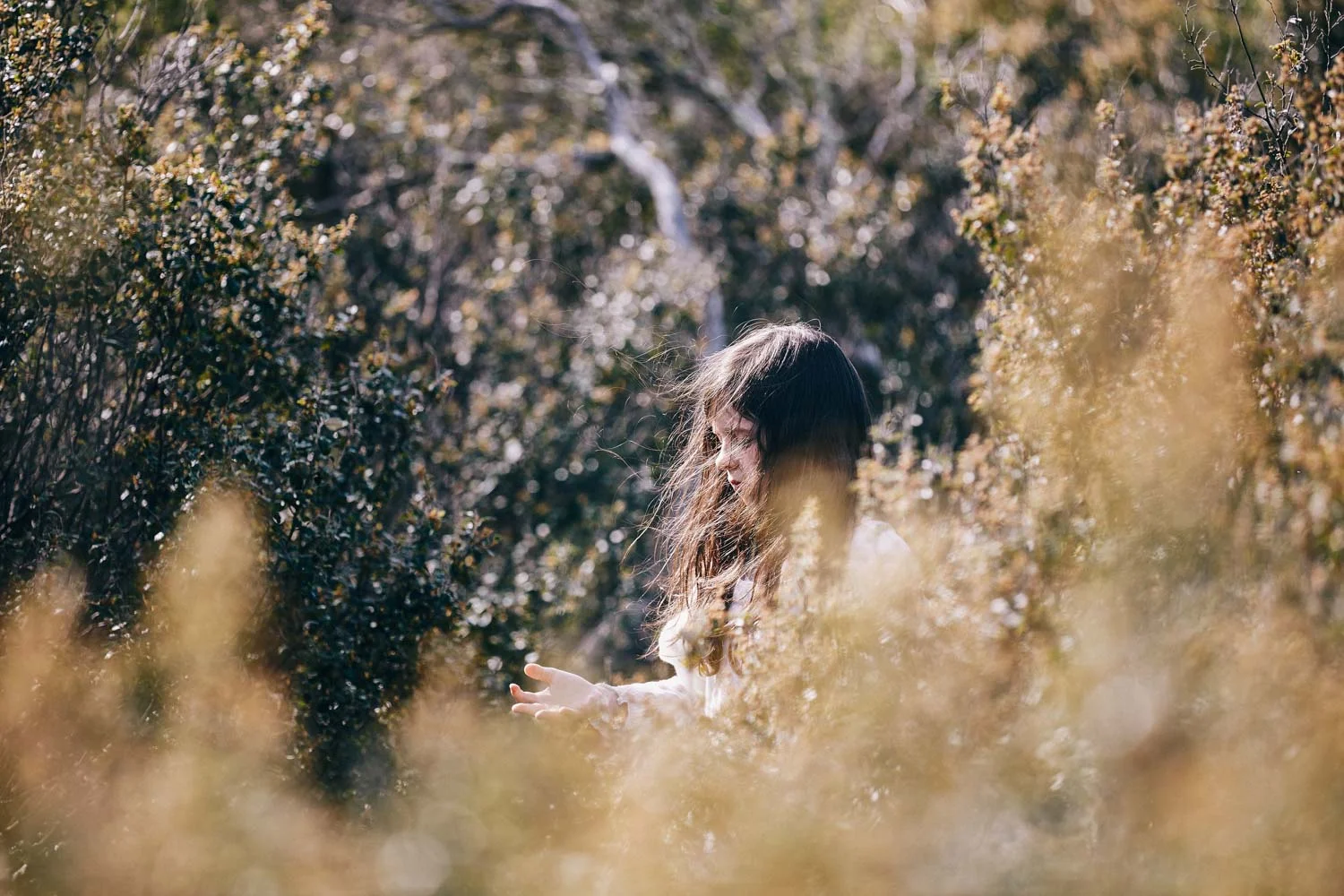 Resa Tela Films - oracle - 2018 - flickerfest-8.jpg