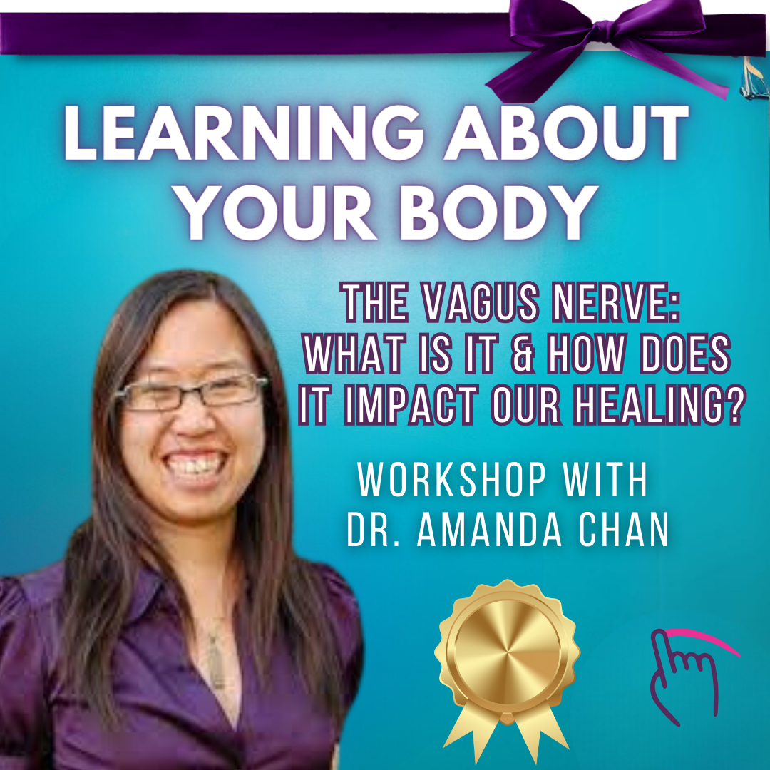 The Vagus Nerve Workshop