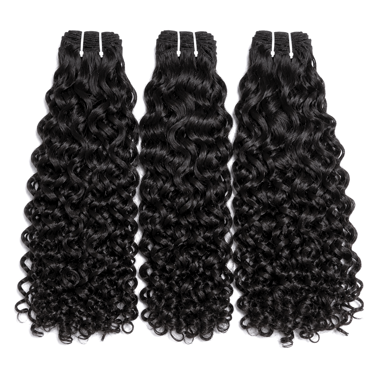 Italy Curly