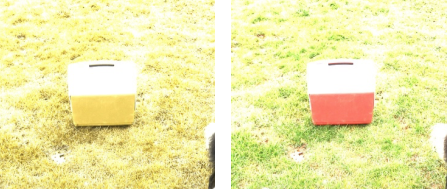Cooler on grass: Dog's view on Left, Human's View on Right 