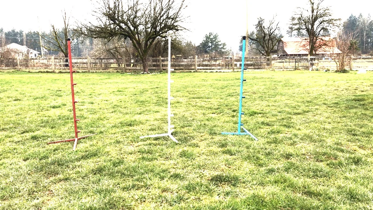 Winter grass: green with some lighter areas and some green moss shown with red/white/blue jump uprights