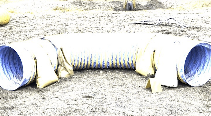Dog's vision sees it as a more grey blue. The Red and Green bags look yellowish and the white bag remains white. The yellow rings would be better seen in black.