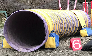 Bright Purple with Blue and Yellow bags