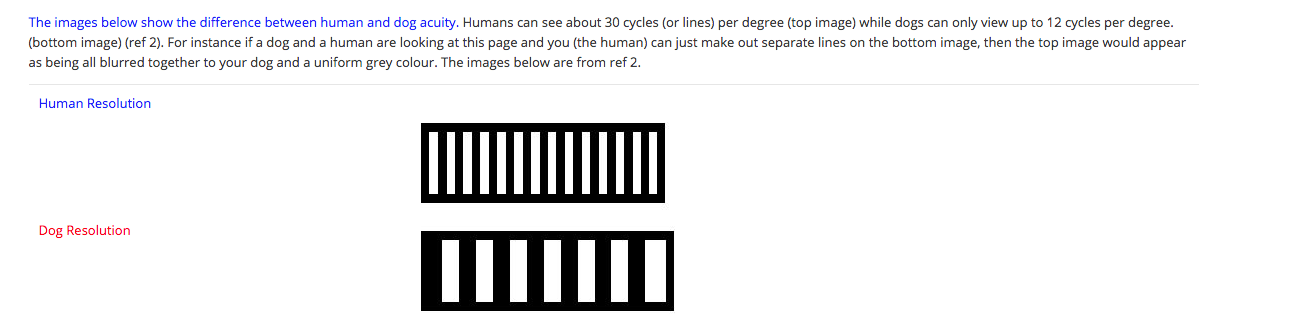Screen Shot 2018-03-01 at 5.53.20 PM.png