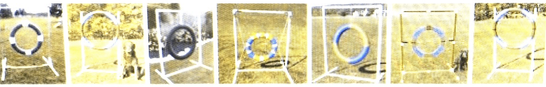 as the dogs would see them... the solid black tire outlines the target area (circular) the best imo