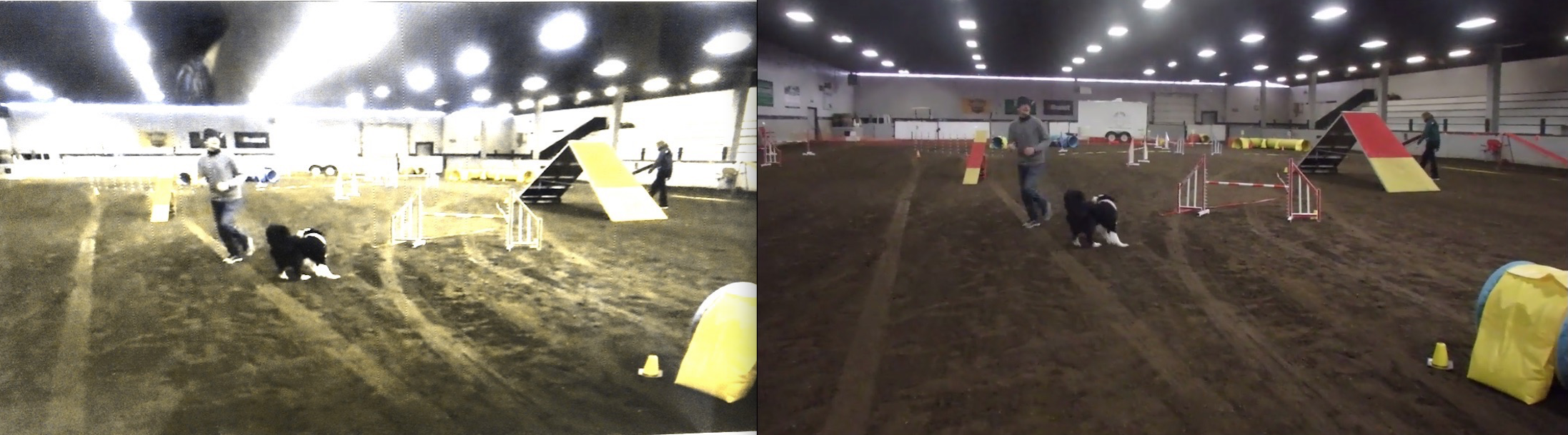 Indoors: White walls, brown dirt. Dog's Eye View of dirt is Yellow. The red contacts appear solid yellow. The Yellow contact zone at the end of the teeter disappears under the lights with a white wall in the distance. The red markings on the bars blend in with the footing. The judge is very visible wearing darker colours.