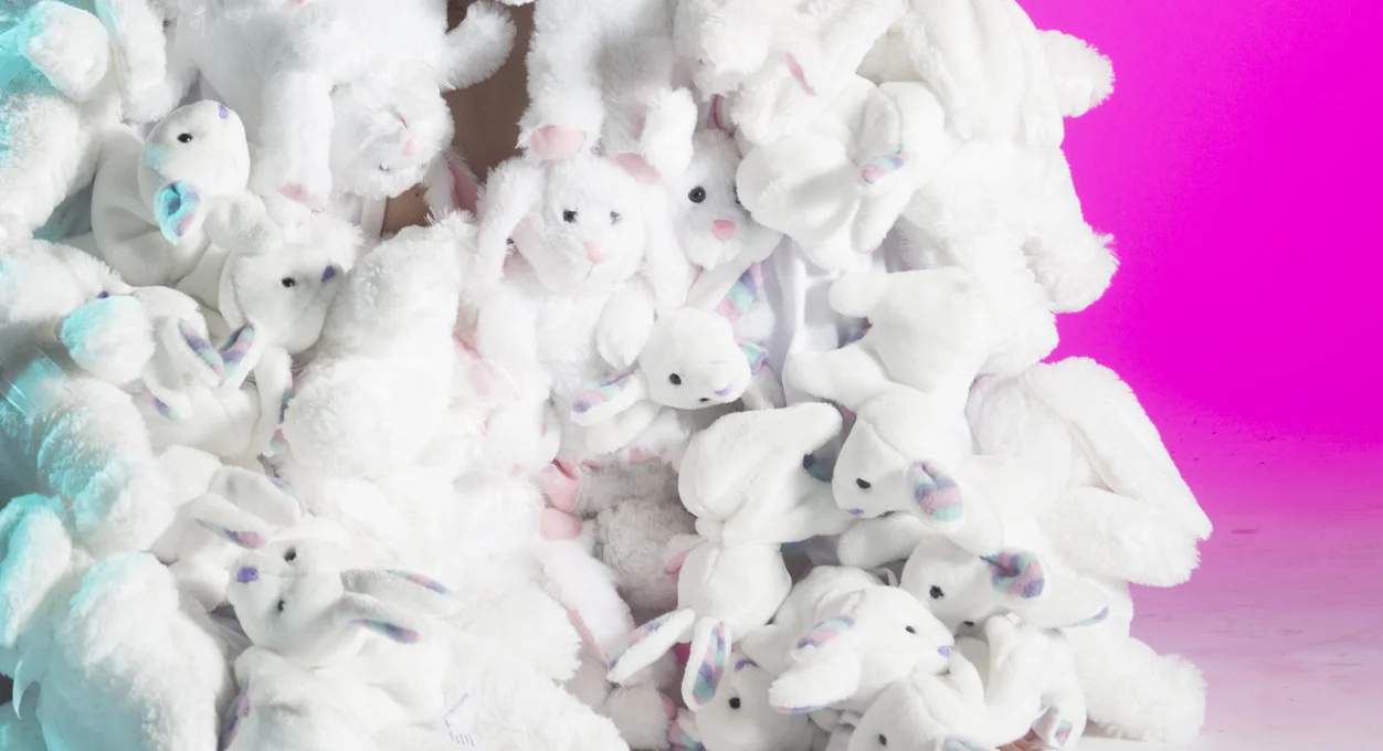 bunnyzoom.jpg