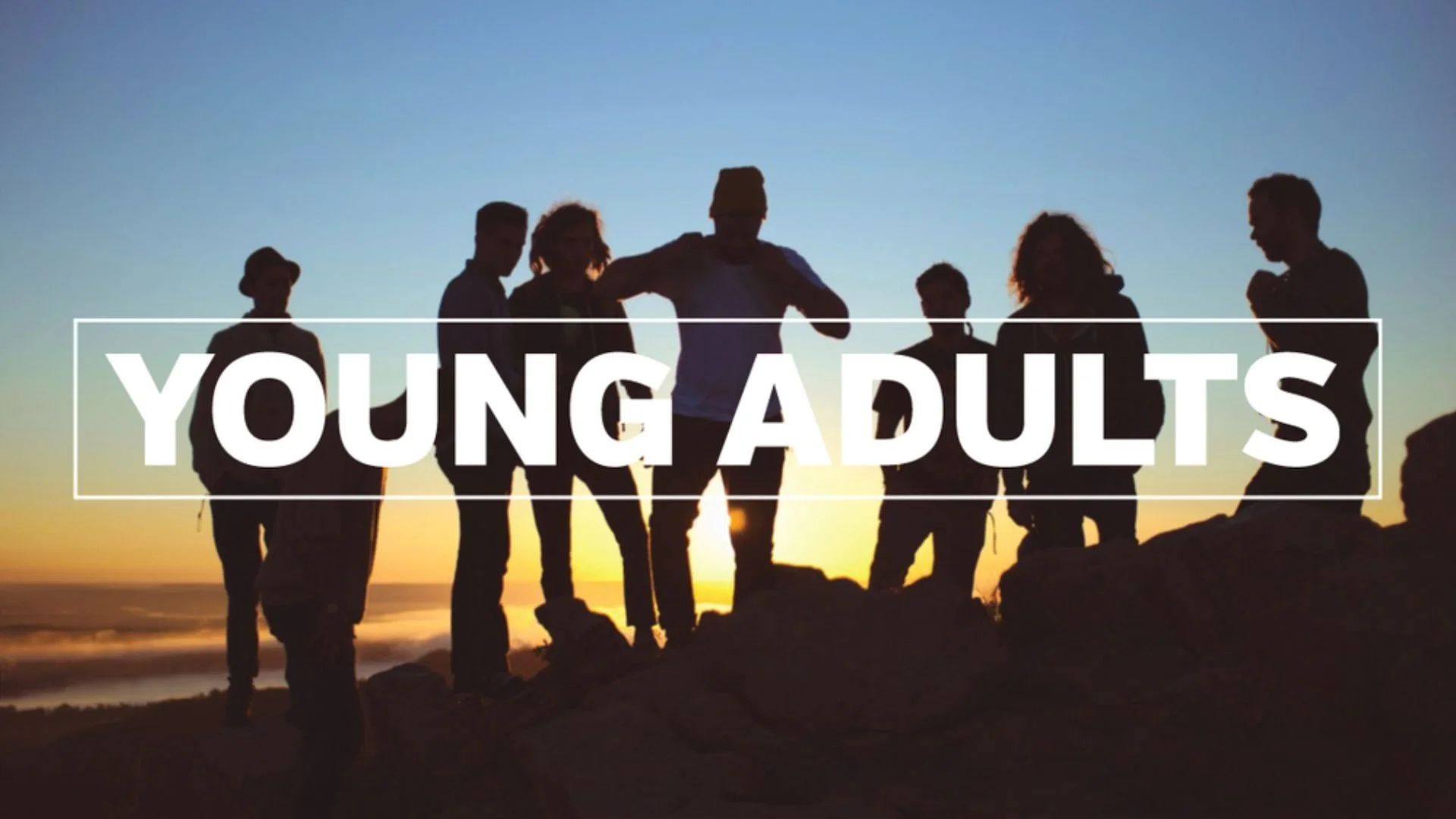 Young Adult.jpg